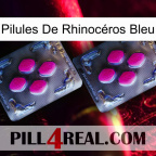 Pilules De Rhinocéros Bleu 01